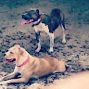 Meet your Posher, Varis